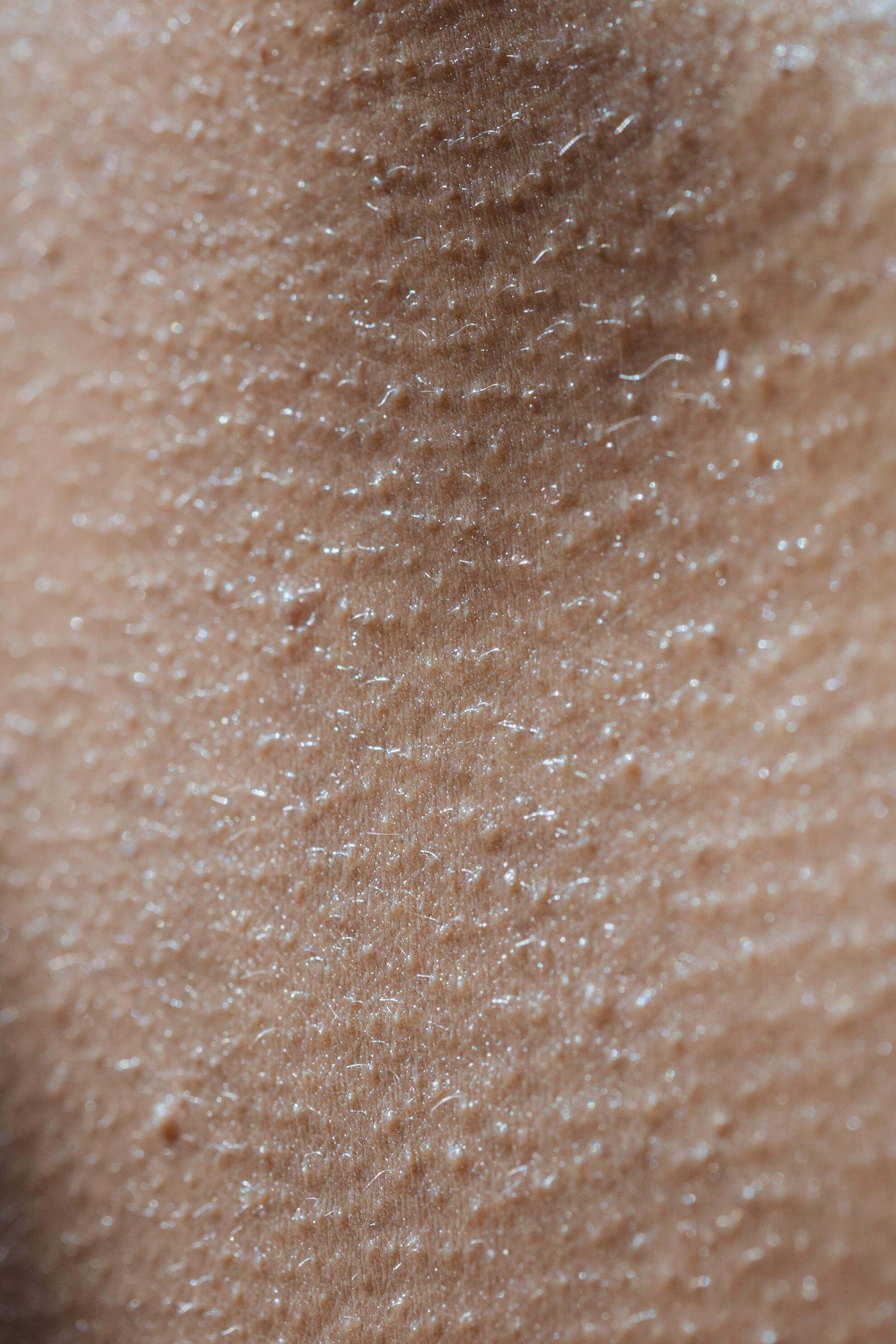 pexels-angela-roma-7479544.jpg