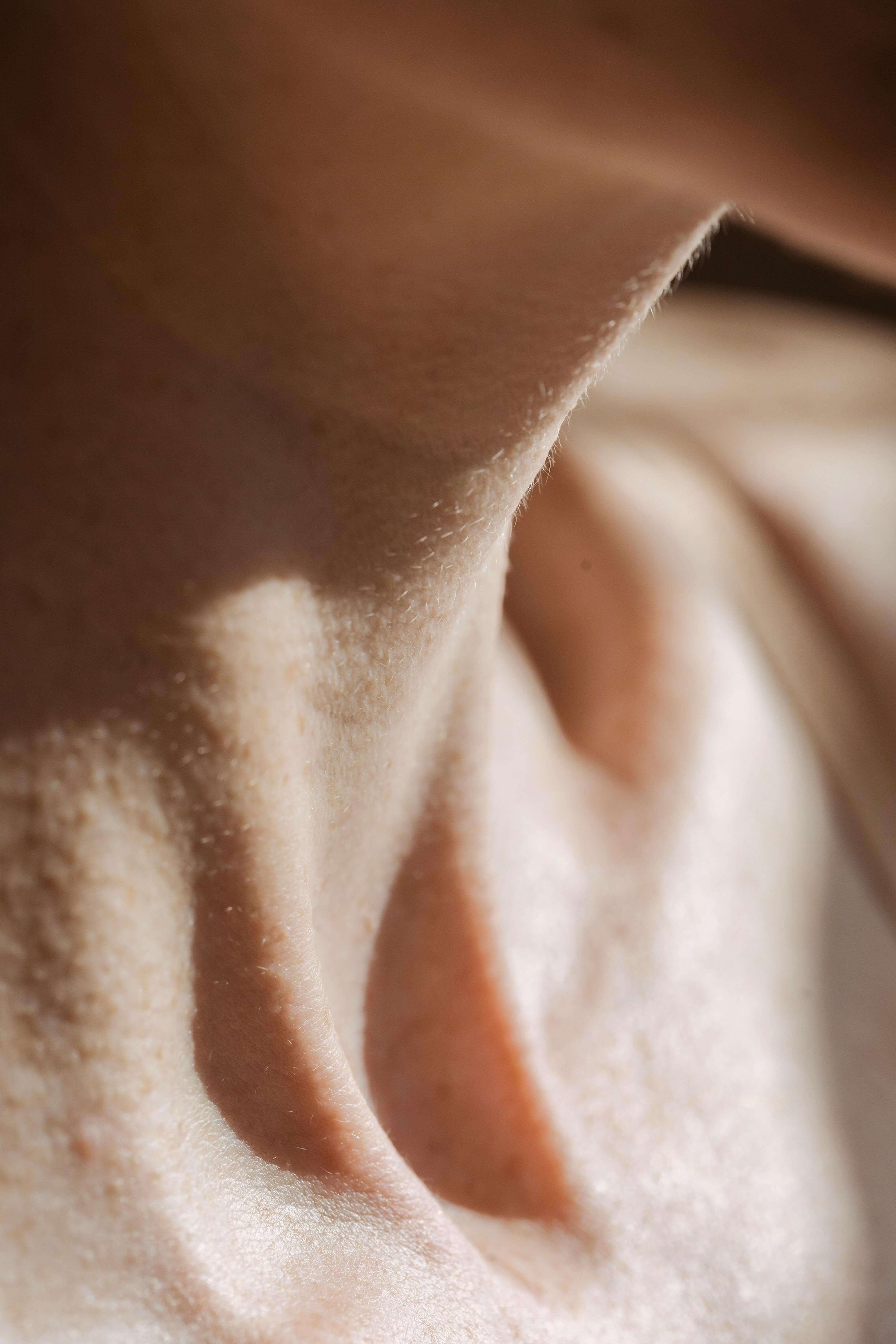 pexels-angela-roma-7479570.jpg