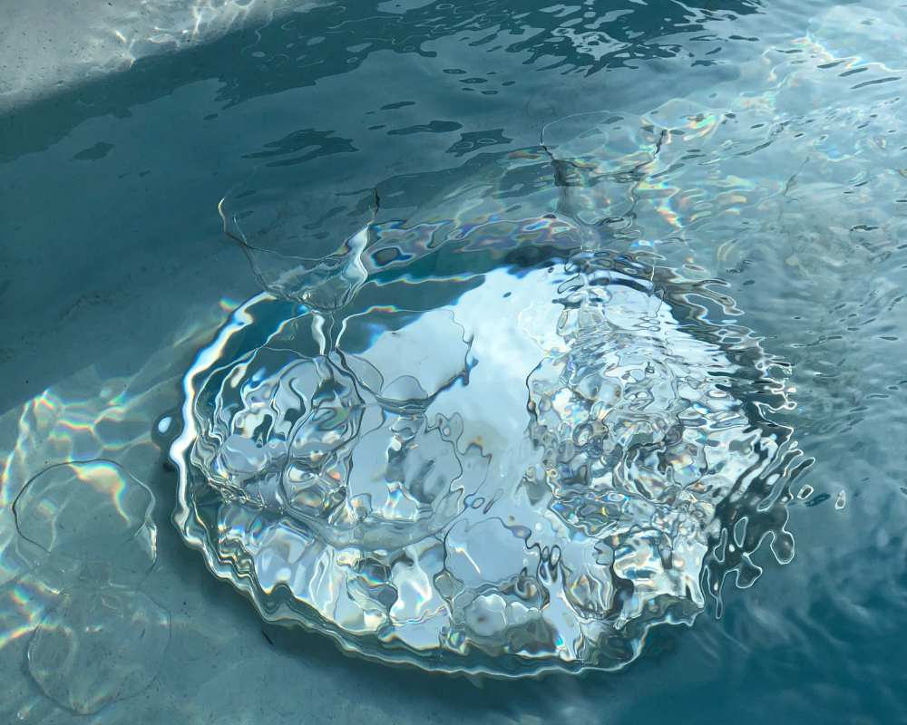 What's the frequency Kenneth?