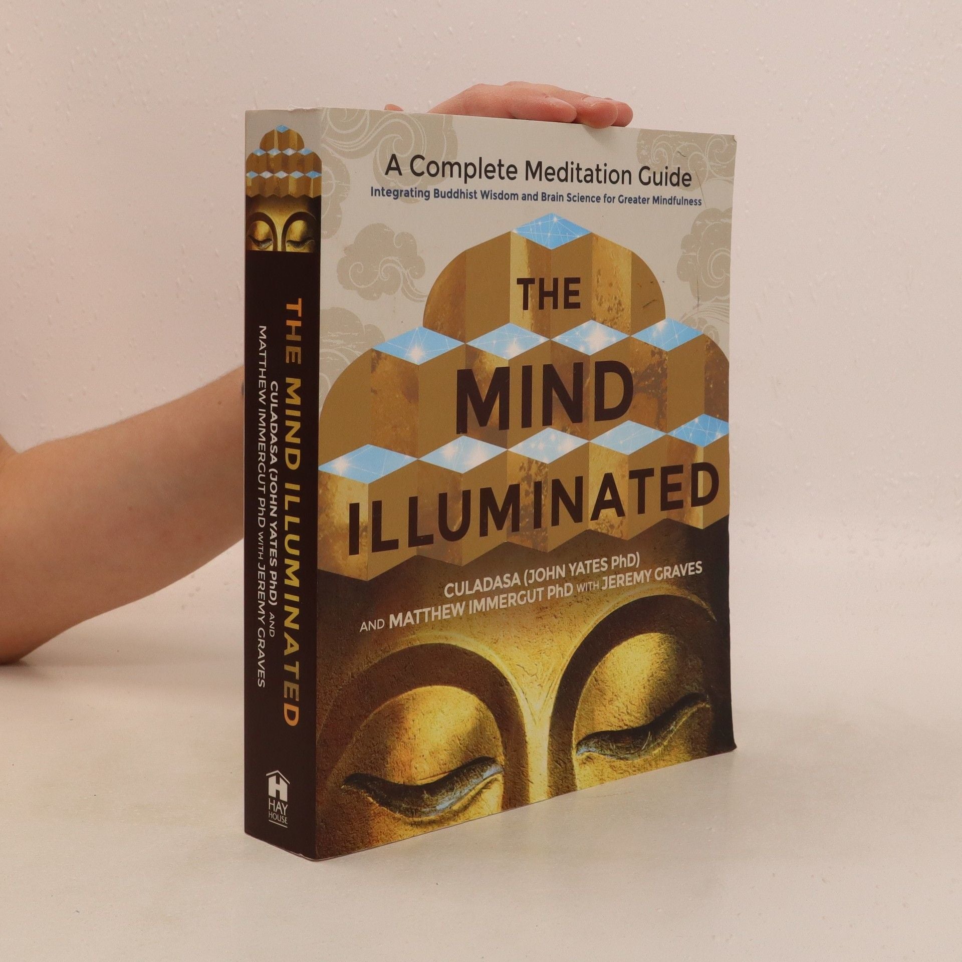 Mind Illuminated