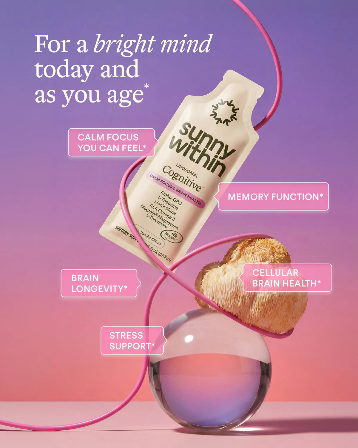 Sunny Within Cognitive