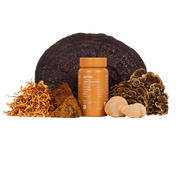 Optimi Formulation Mushroom Supplement