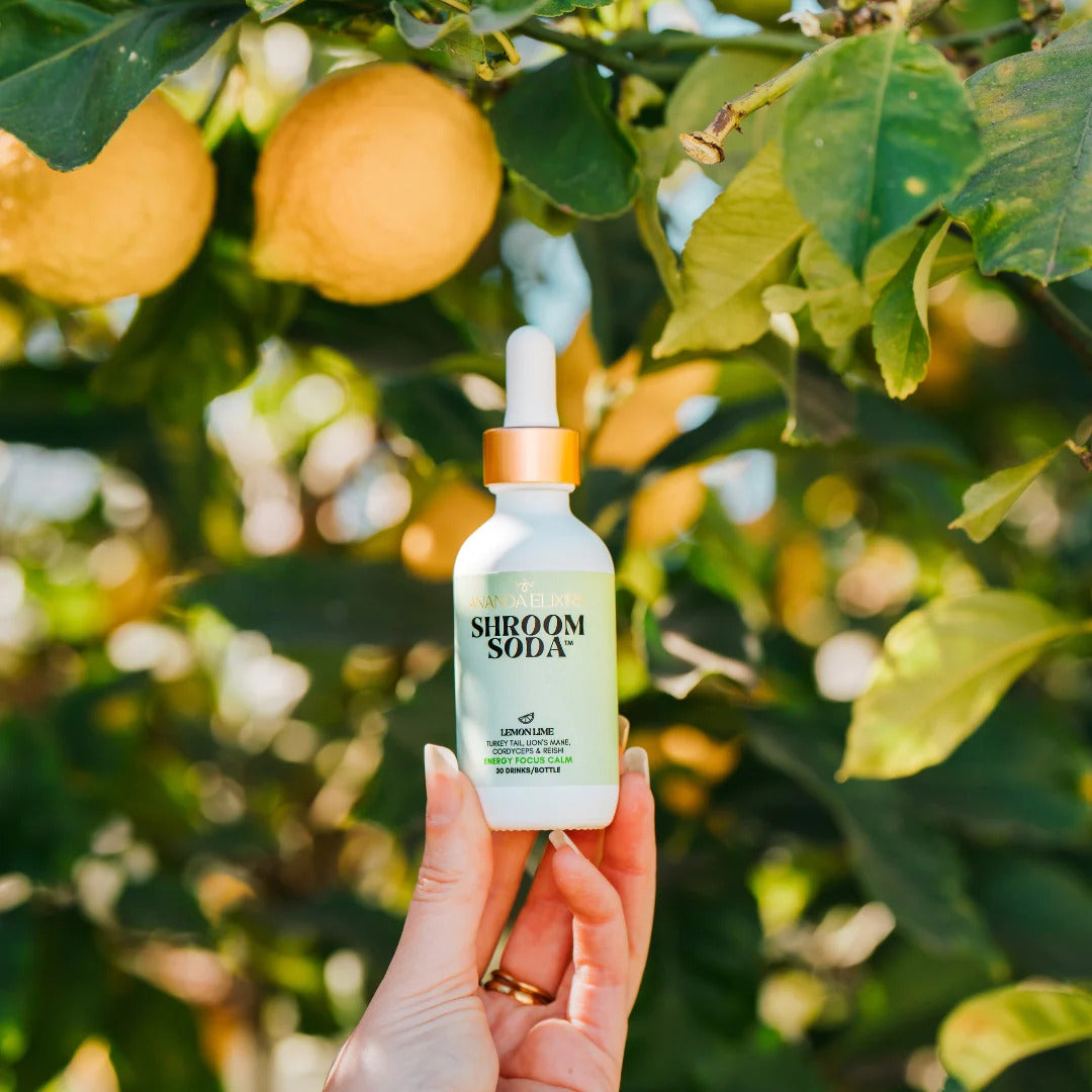 Ananda Elixirs Shroom Soda