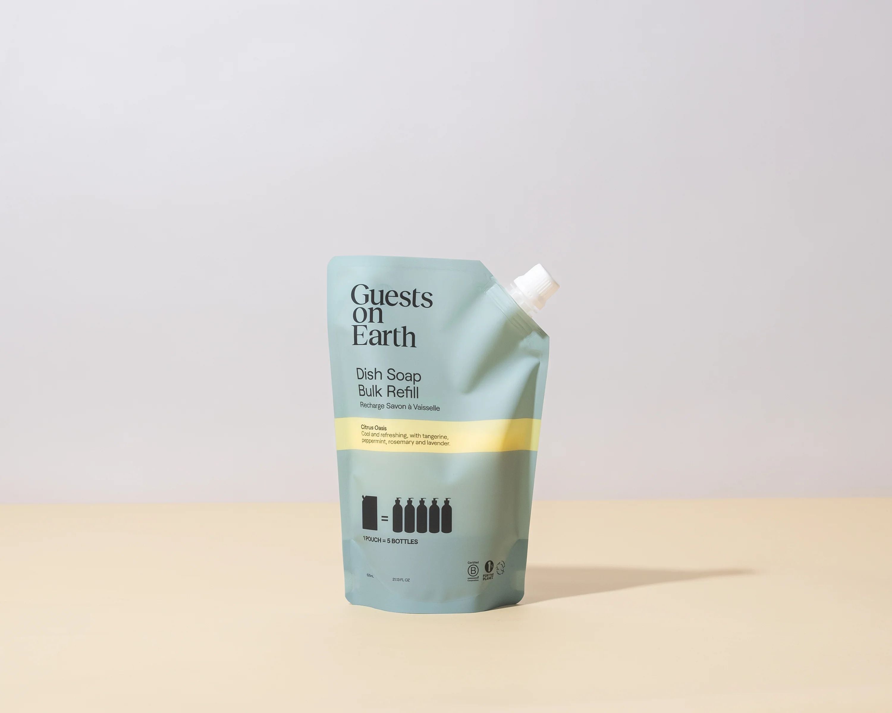 Guests On Earth Dish Soap Refill Citrus Oasis