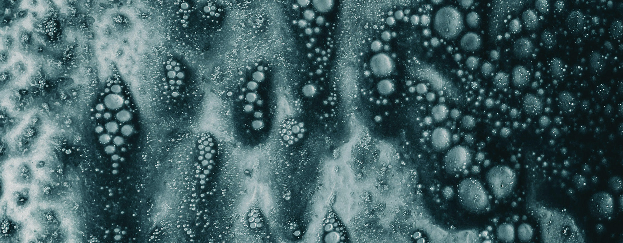 nad-optimization-banner-dark.jpg