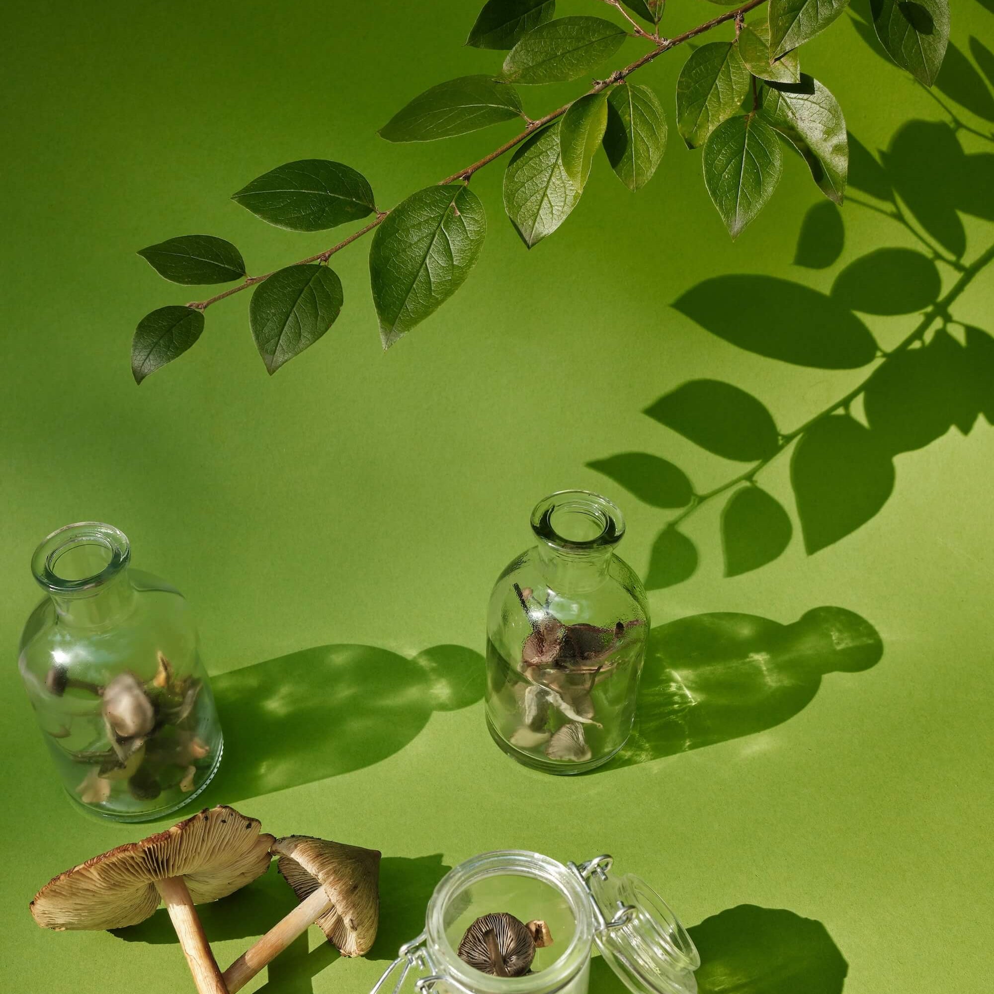 Supernatural | Naturopathic Wellness