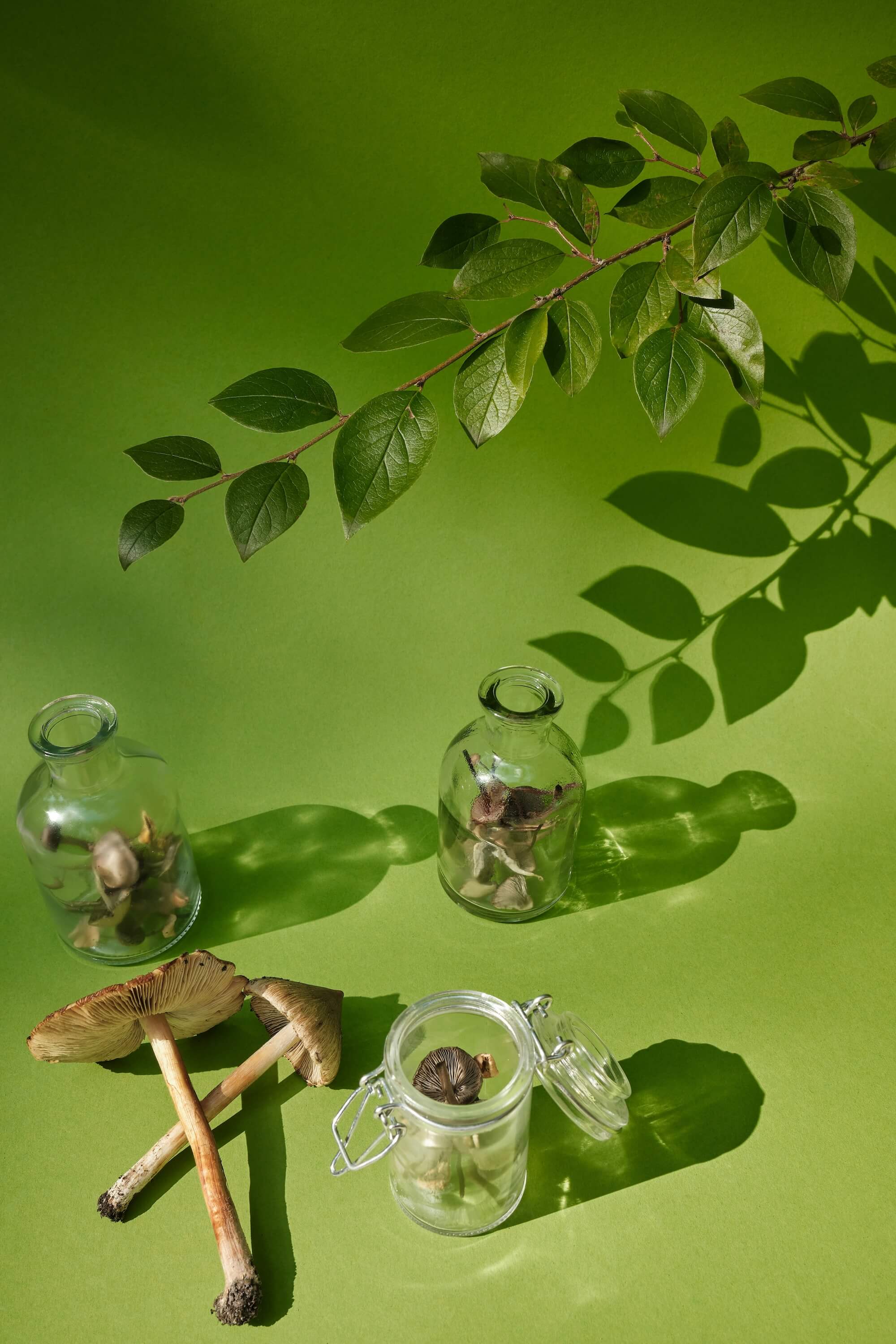 Supernatural | Naturopathic Wellness